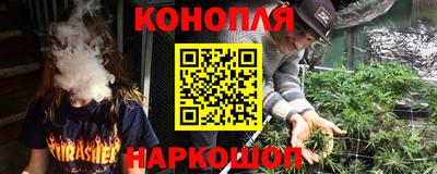 гашик Кунгур
