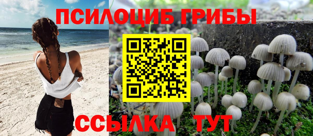 Ишимбай  купить наркотики цена  Вход с VPN  Псилоцибиновые грибы мухоморы 